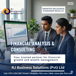 SE08 - Financial Analysis & Consulting Service
